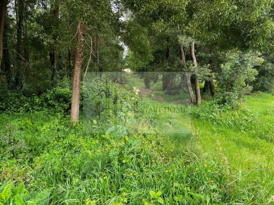 Terreno para Venda em Pardilho Foto 9