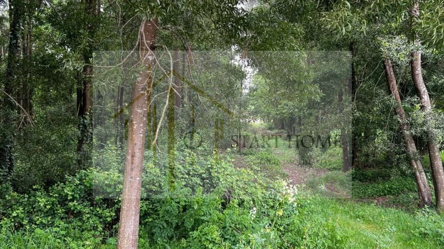 Terreno para Venda em Pardilho