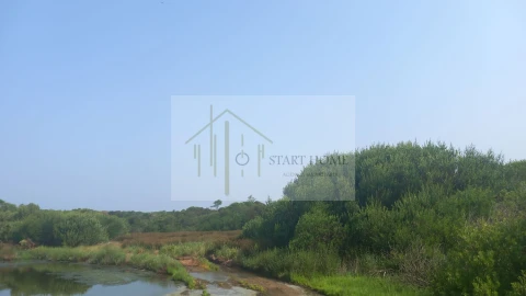 Terreno para Venda em Torreira