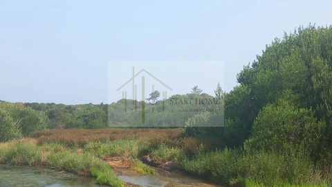 Terreno para Venda em Torreira