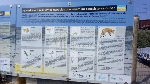 Terreno para Venda em Torreira