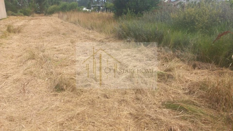 Terreno para Venda em Torreira