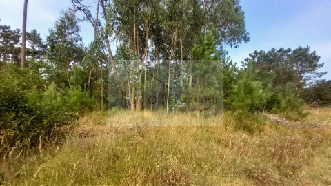 Terreno para Venda em Torreira