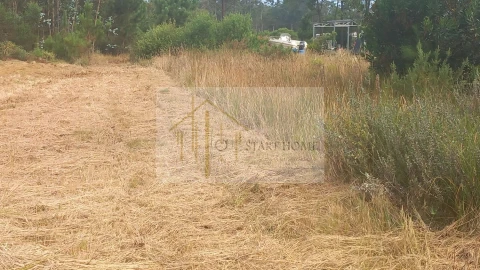 Terreno para Venda em Torreira