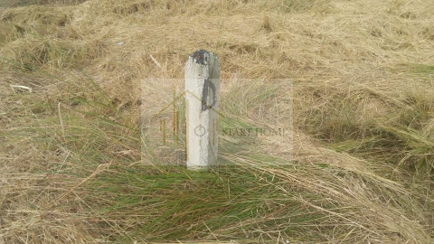 Terreno para Venda em Torreira