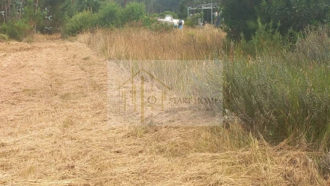 Terreno para Venda em Torreira