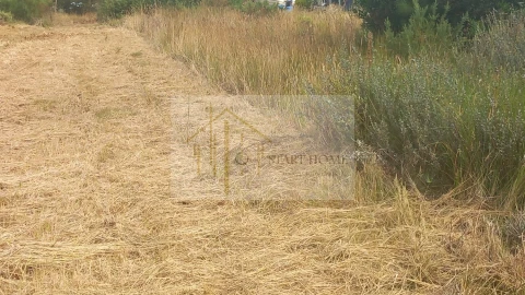 Terreno para Venda em Torreira