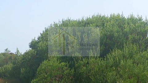 Terreno para Venda em Torreira