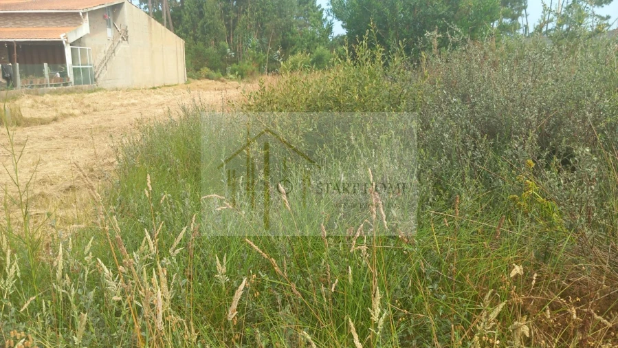 Terreno para Venda em Torreira Foto 12