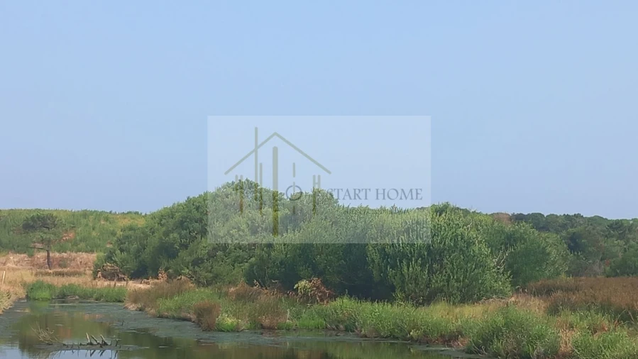 Terreno para Venda em Torreira Foto 27