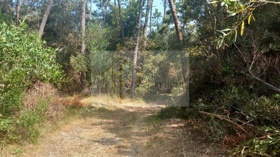 Terreno para Venda em Torreira Foto 31