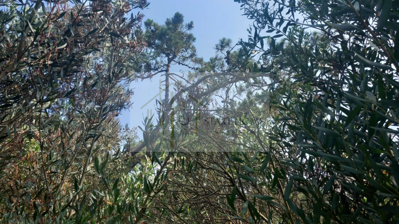 Terreno para Venda em Torreira Foto 32