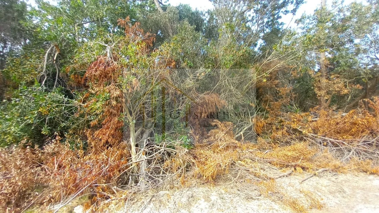Terreno para Venda em Torreira Foto 21