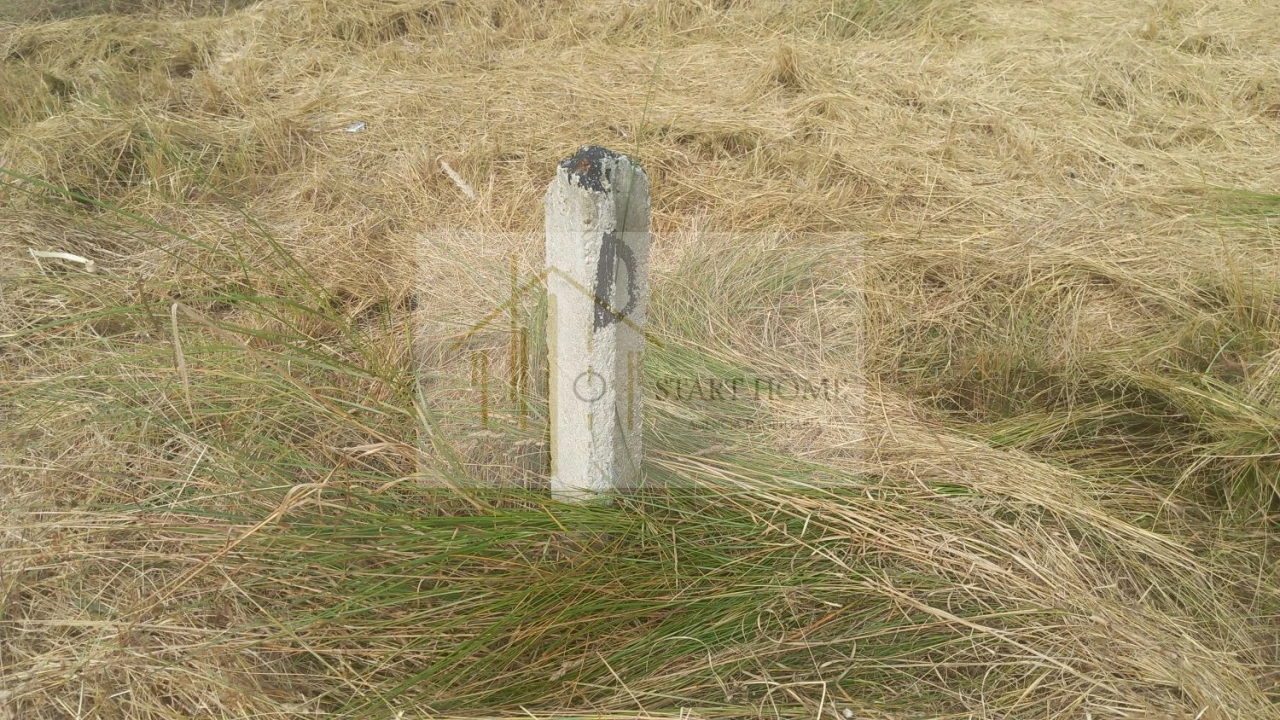 Terreno para Venda em Torreira Foto 8