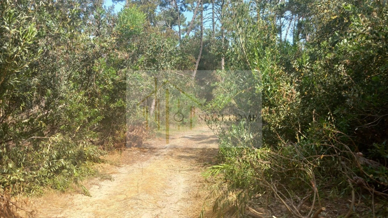 Terreno para Venda em Torreira Foto 29