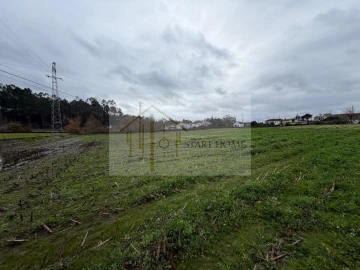 Terreno para Venda em Avanca