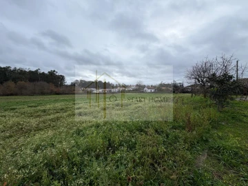 Terreno para Venda em Avanca