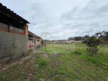 Terreno para Venda em Avanca
