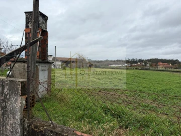 Terreno para Venda em Avanca