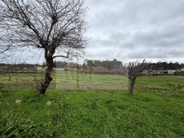 Terreno para Venda em Avanca