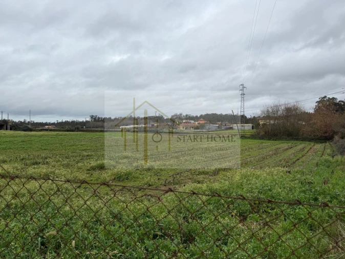Terreno para Venda em Avanca Foto 2