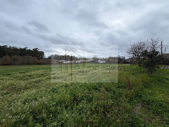 Terreno para Venda em Avanca Foto 8
