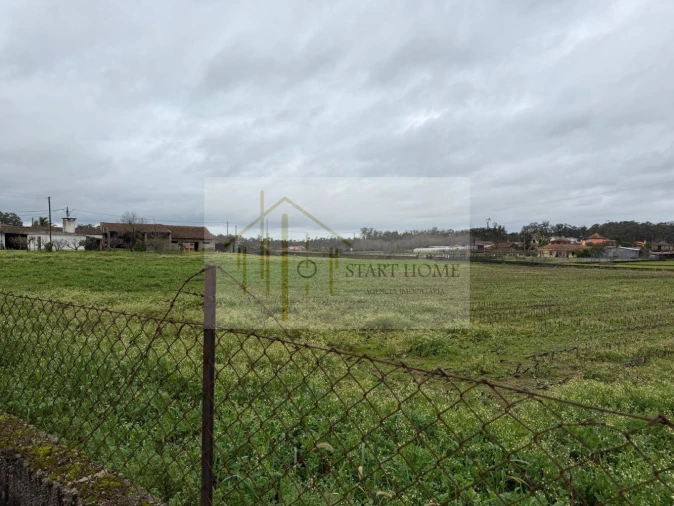 Terreno para Venda em Avanca Foto 12