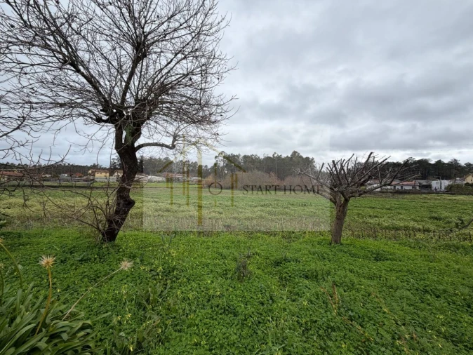 Terreno para Venda em Avanca Foto 6