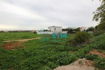 Terreno para Venda em Conceição e Estoi