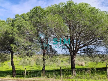 Terreno para Venda em Vila Nova de Cacela