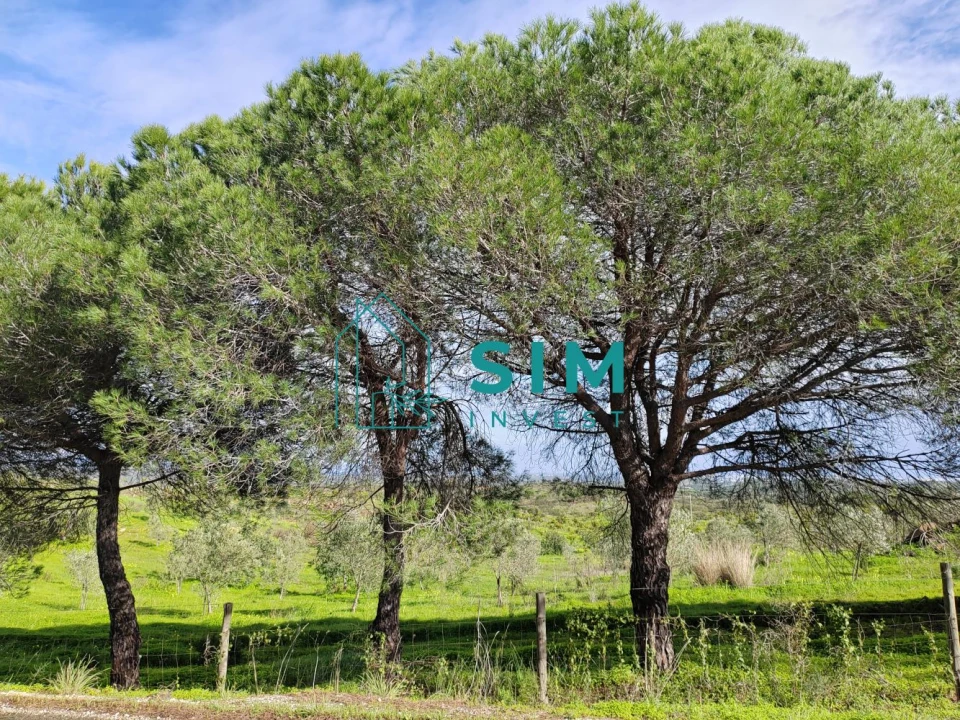 Terreno para Venda em Vila Nova de Cacela Foto 19