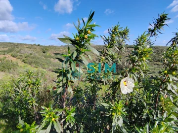 Terreno para Venda em Castro Marim