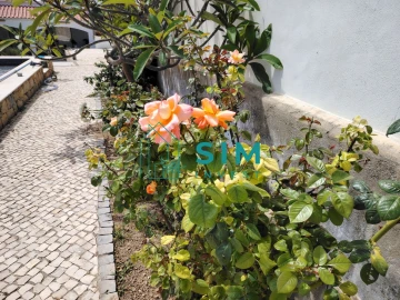 Moradia T4 para Venda em Quelfes