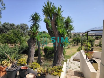 Moradia T4 para Venda em Quelfes