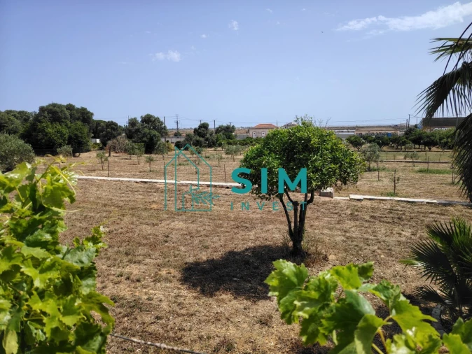 Moradia T4 para Venda em Quelfes Foto 48