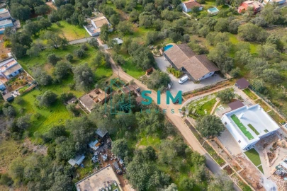 Terreno para Venda em Querença, Tôr e Benafim