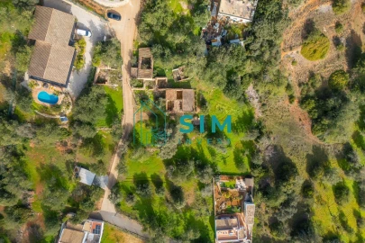 Terreno para Venda em Querença, Tôr e Benafim