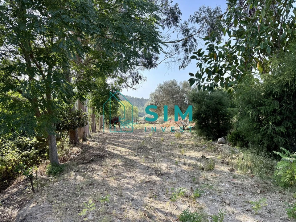 Moradia T5 para Venda em Sesimbra (Castelo) Foto 58