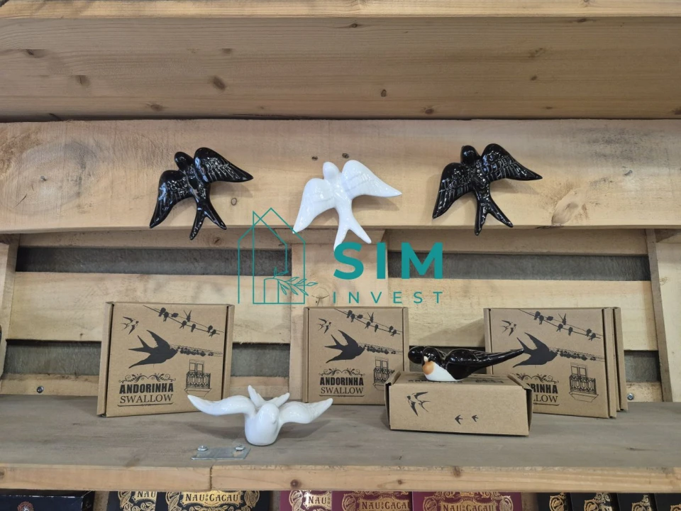 Loja para Trespasse em Misericórdia Foto 8