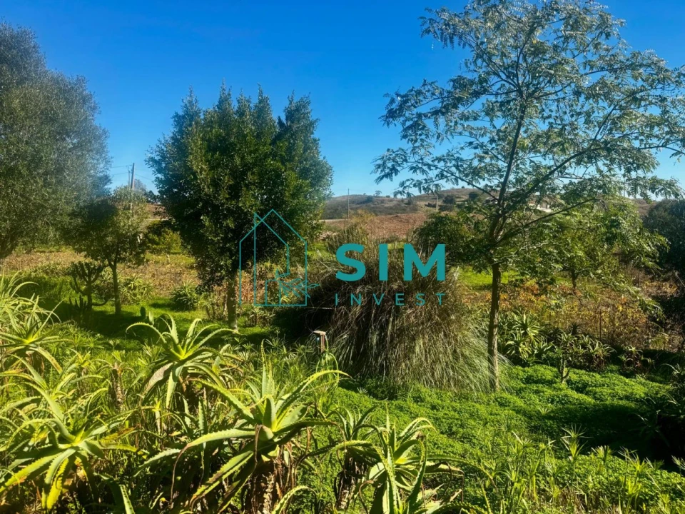 Moradia T2 para Venda em Conceição e Cabanas de Tavira Foto 10