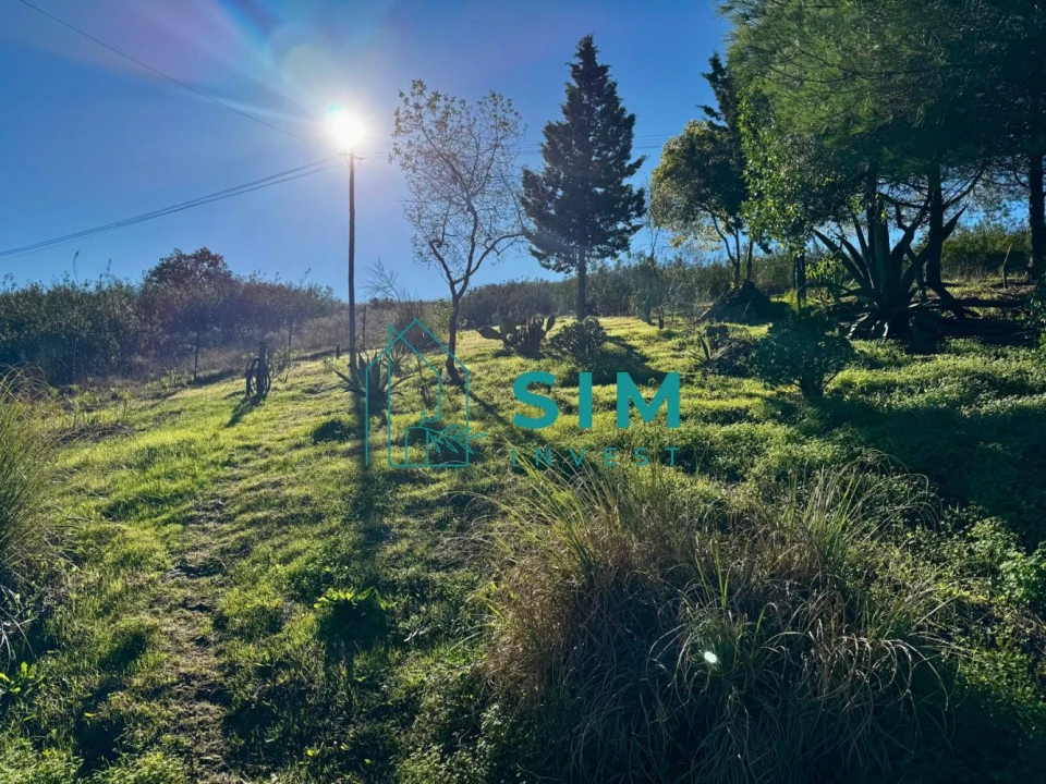 Moradia T2 para Venda em Conceição e Cabanas de Tavira Foto 11