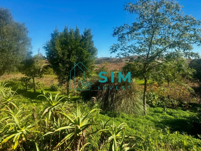 Moradia T2 para Venda em Conceição e Cabanas de Tavira Foto 10