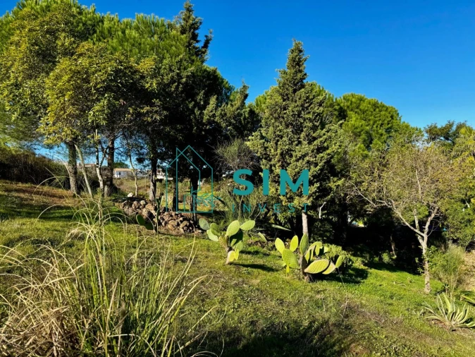 Moradia T2 para Venda em Conceição e Cabanas de Tavira Foto 32