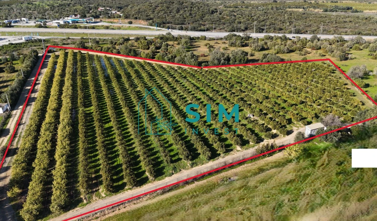 Terreno para Venda em Moncarapacho e Fuseta Foto 1