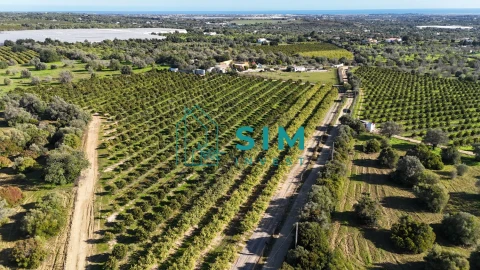 Terreno para Venda em Moncarapacho e Fuseta