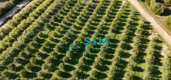Terreno para Venda em Moncarapacho e Fuseta