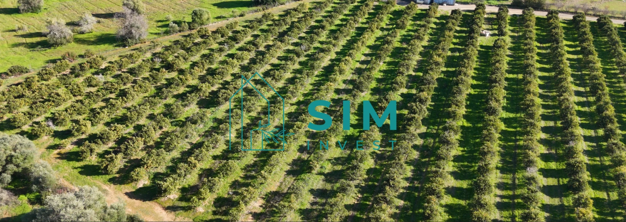 Terreno para Venda em Moncarapacho e Fuseta Foto 10