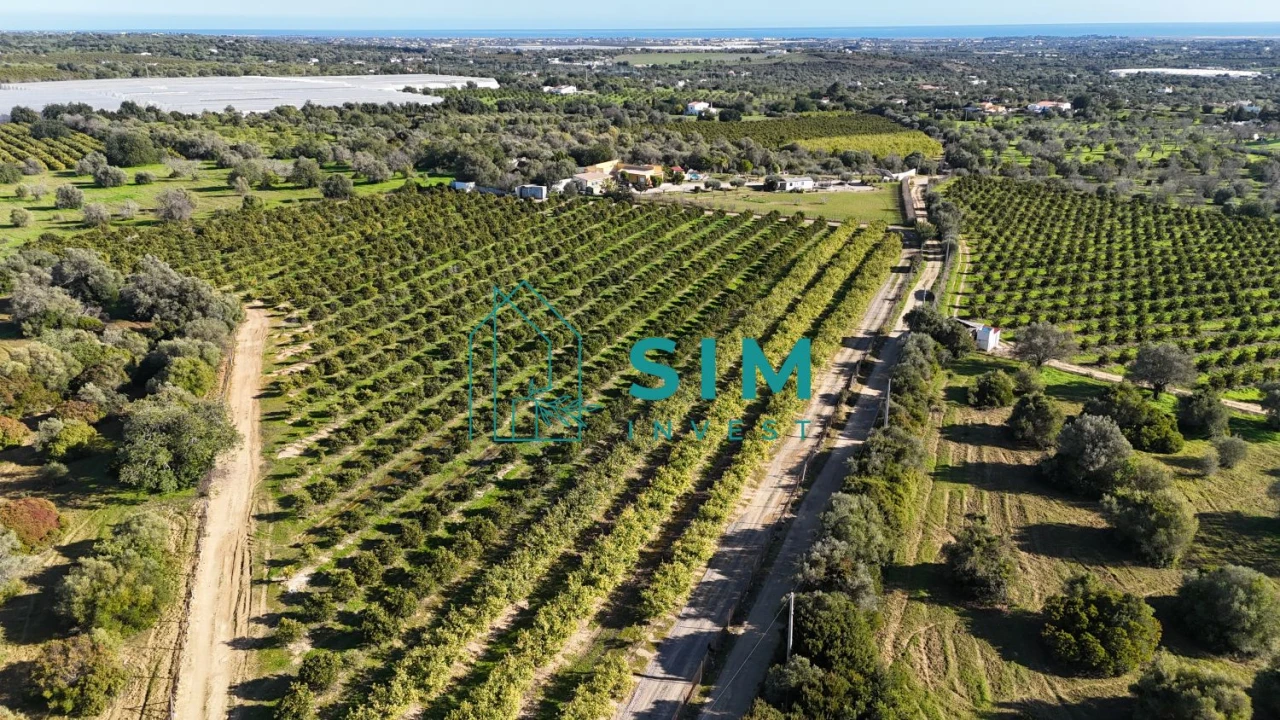 Terreno para Venda em Moncarapacho e Fuseta Foto 2