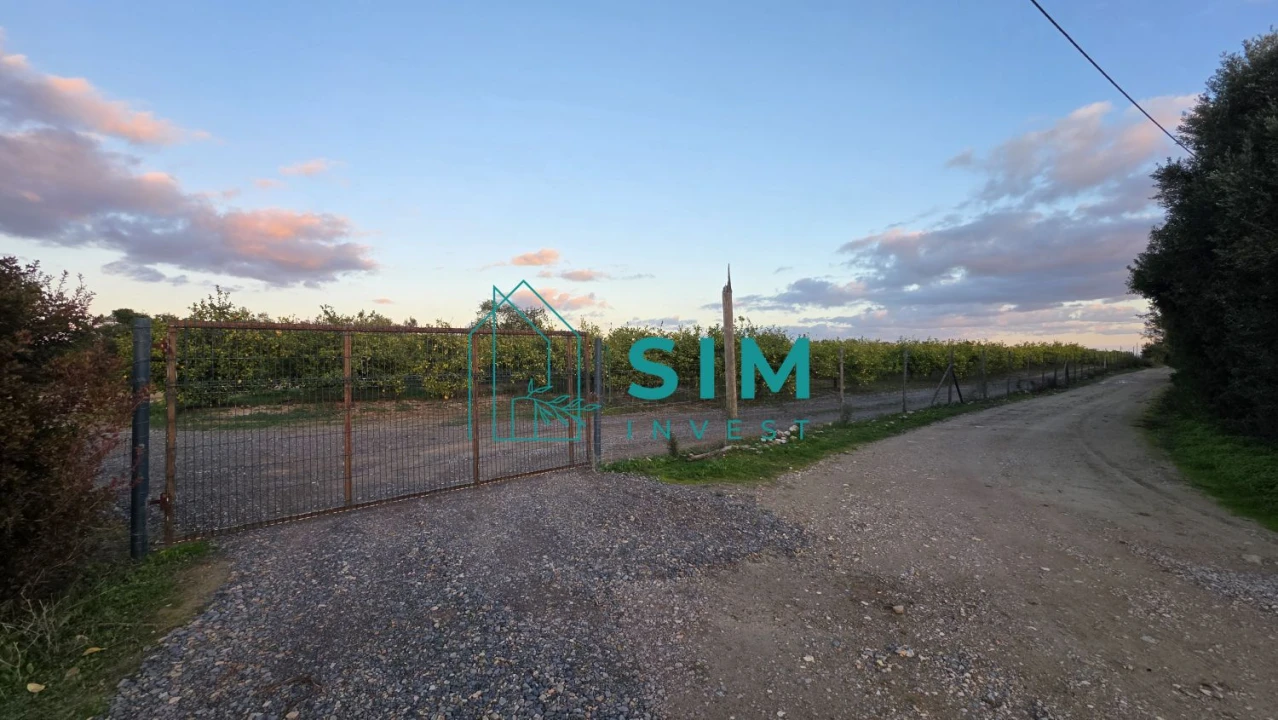 Terreno para Venda em Moncarapacho e Fuseta Foto 6