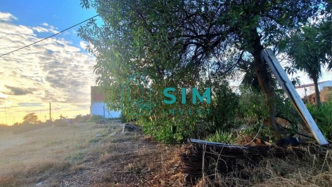 Loja para Venda em Vidigueira